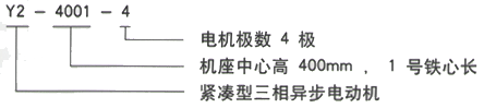 YR系列(H355-1000)高压YKK6303-12/710KW三相异步电机西安西玛电机型号说明